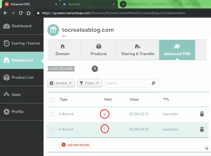 Point NameCheap domain name to Kinsta - Create 2 new ARecords