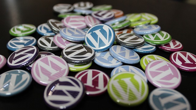 what is WordPress?